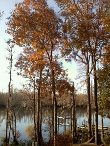 Pender County River